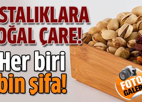 Kuruyemişlerin Faydaları
