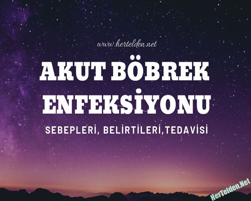 Akut Böbrek Enfeksiyonu Neden Olur?Nasıl Tedavi Edilir? Akut Böbrek Enfeksiyonu Neden Olur?Nasıl Tedavi Edilir?