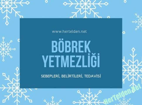 Böbrek Yetmezliği