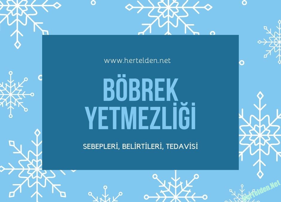 Böbrek Yetmezliği Sebepleri, Belirtileri, Tedavisi Böbrek Yetmezliği