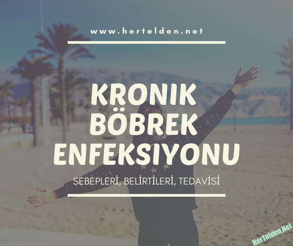Kronik Böbrek Enfeksiyonu Nedenleri, Belirtileri, Tedavisi Kronik Böbrek Enfeksiyonu