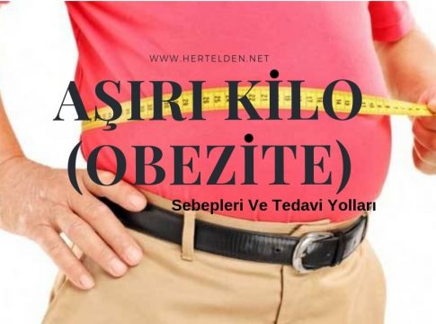 Obezite -hertelden-net
