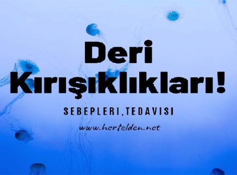 Deri Kırışıklıkları