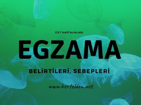 Egzama Sebepleri, Belirtileri