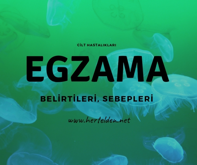 Egzama Sebepleri, Belirtileri Egzama Sebepleri, Belirtileri