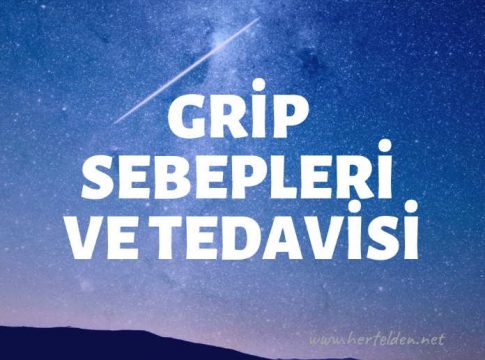 Grip Tedavisi