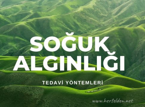 Soğuk algınlığı tedavisi