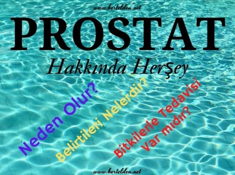 Prostat Büyümesi-Hertelden.Net