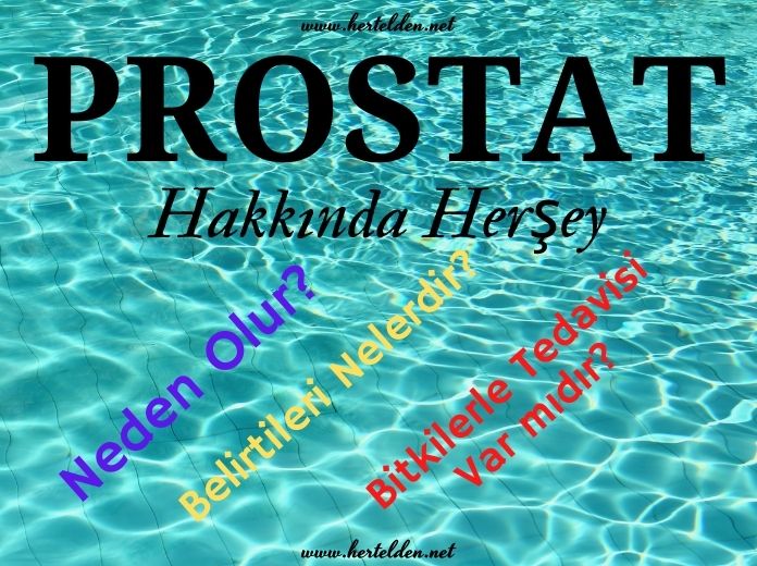 Prostat Büyümesi Prostat Büyümesi-Hertelden.Net