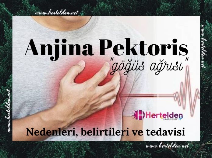 Anjina Pektoris Hastalığı anjina pektoris