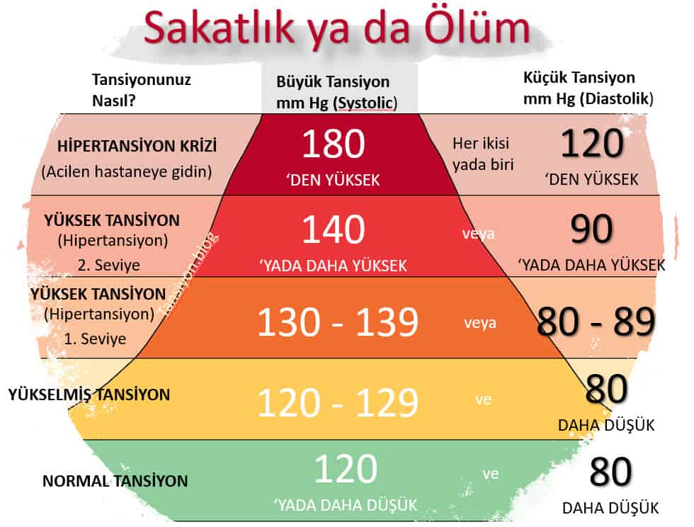 Normal-ideal-tansiyon-degerleri-semasi-hertelen.net