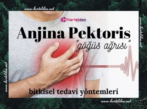anjina pektoris tedavisi