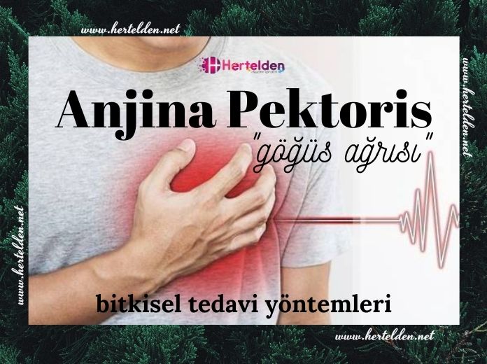 Anjina Pektoris Tedavisi anjina pektoris tedavisi