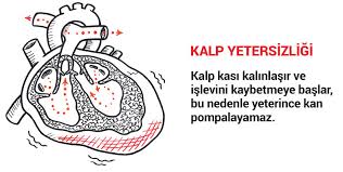 kalp-yetersizigi-nedir