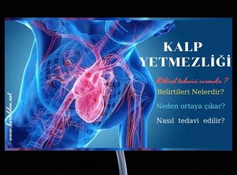 Kalp Yetmezliği
